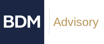 BDM CONSULTING LLC logo