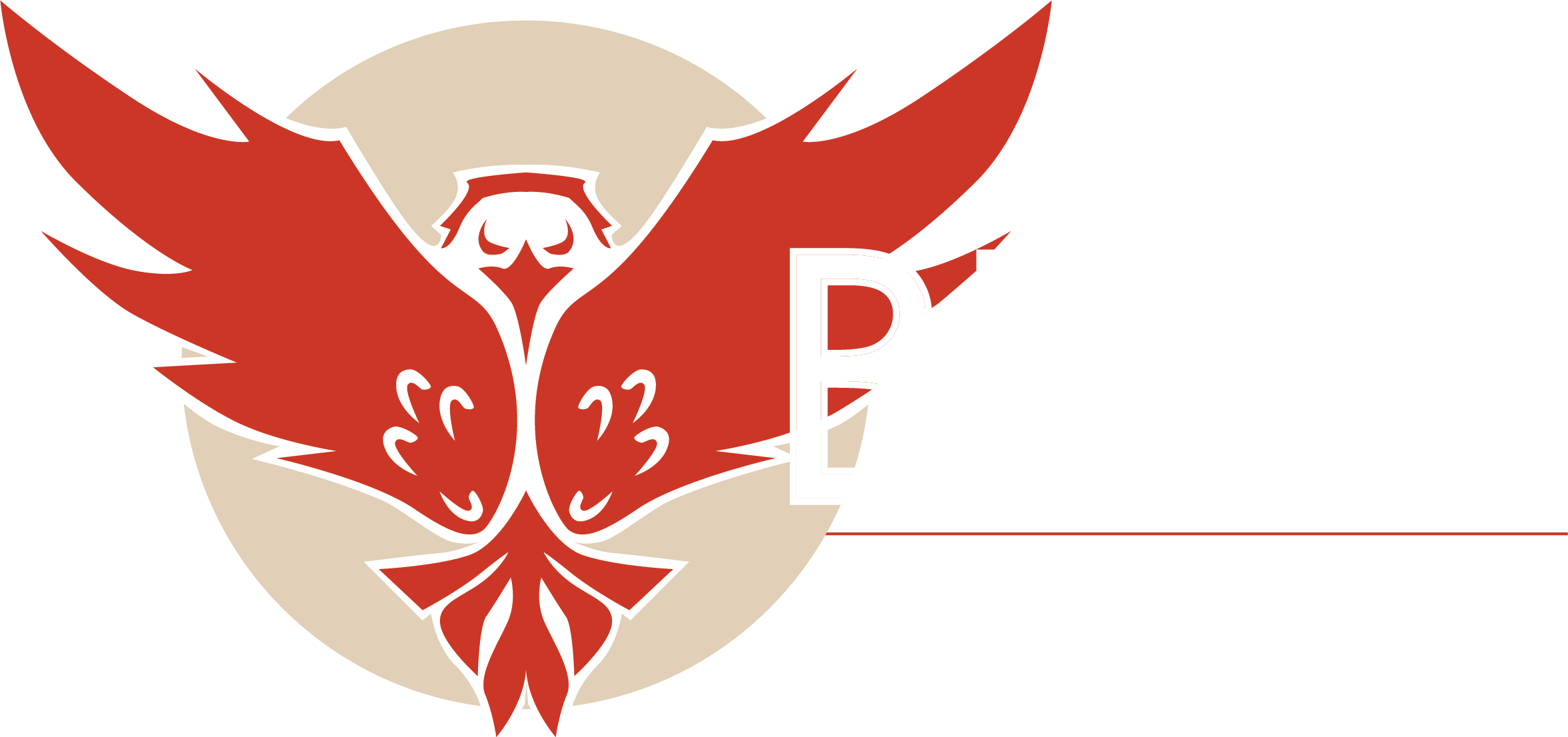BDP2 JOINT VENTURE, LLC logo