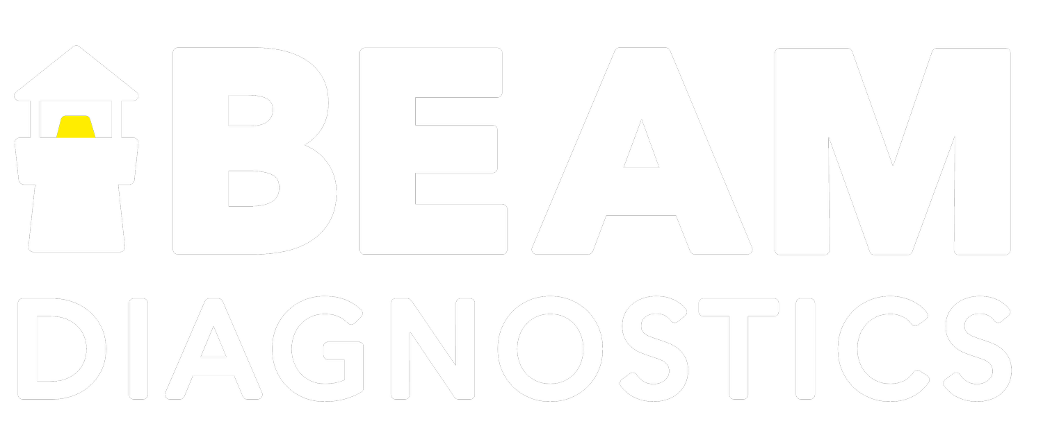 BEAM DIAGNOSTICS INC logo