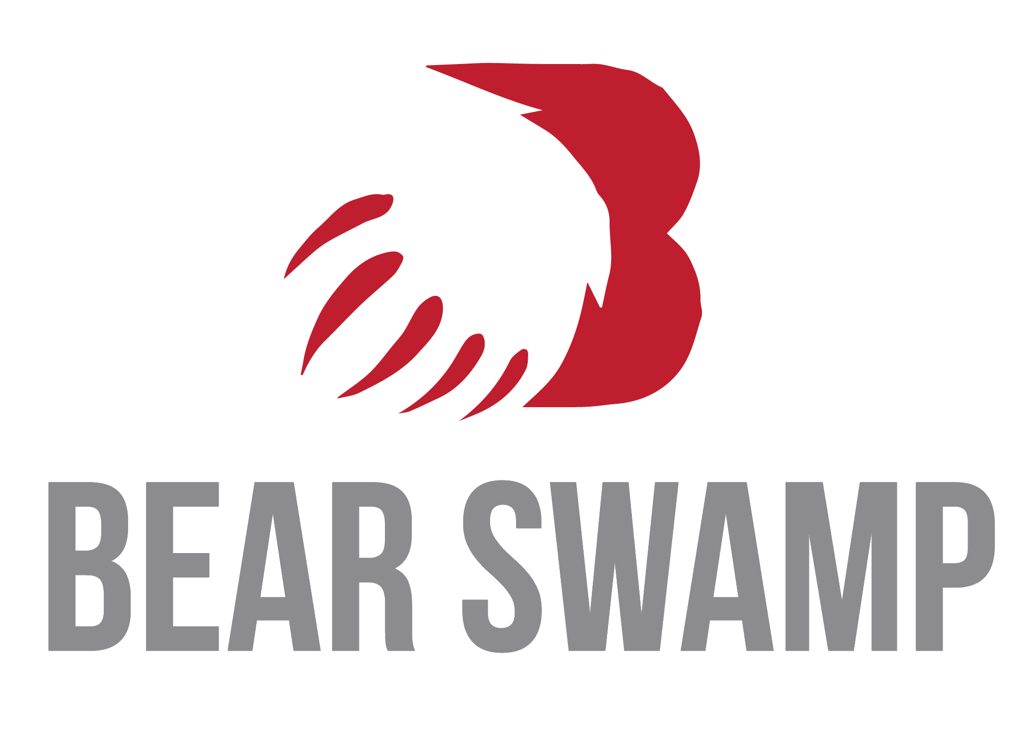 BEAR SWAMP LLC logo