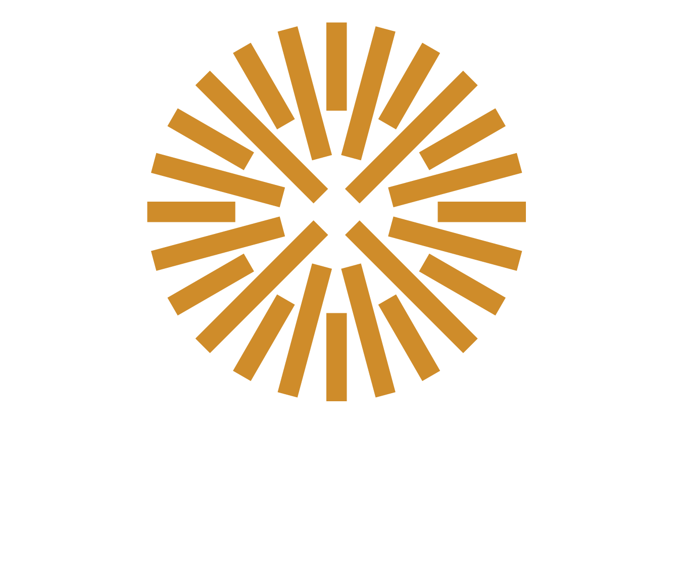 BEAUBOIS GROUP INC logo