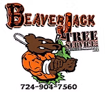 BEAVERJACK TREE SERVICE LLC logo