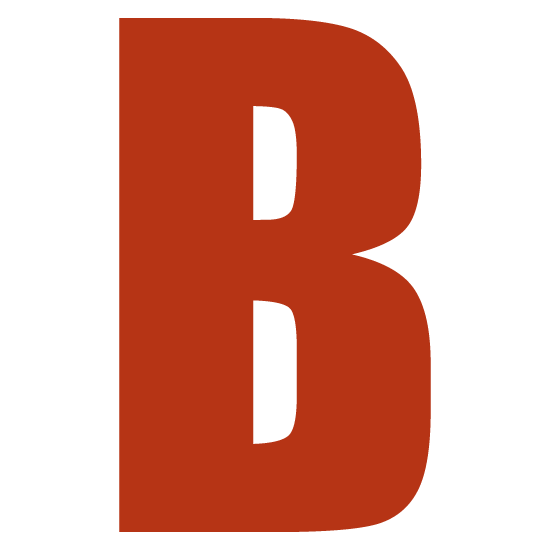 BEHR BUILDING SERVICES, LLC logo