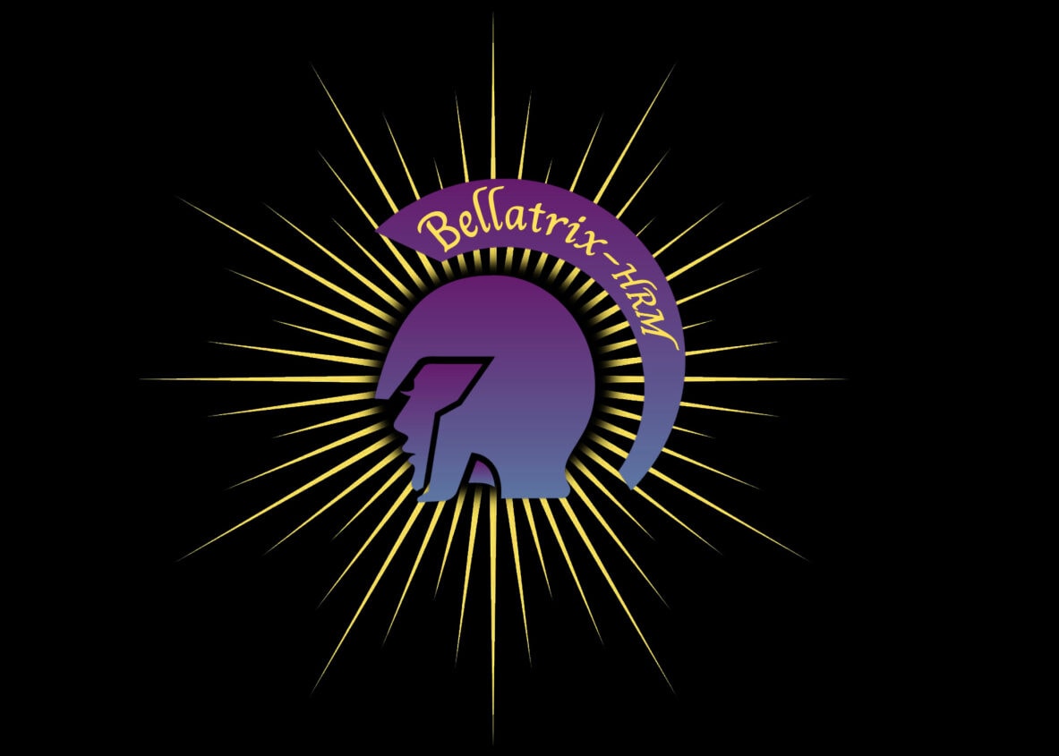 BELLATRIX HRM INC logo