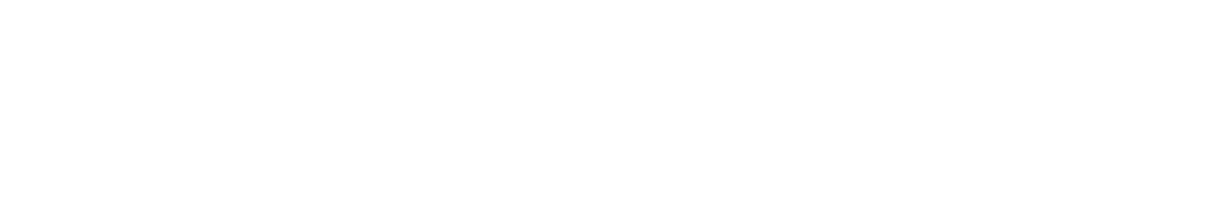 BELLE DECOR DALLAS LLC logo