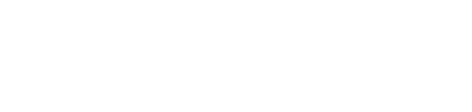 BELLEVRA TECH, LLC logo