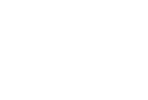 BELLMOORELLC logo