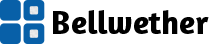 BELLWETHER SOFTWARE, LLC logo