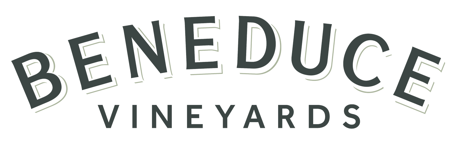 BENEDUCE VINEYARDS, LLC logo