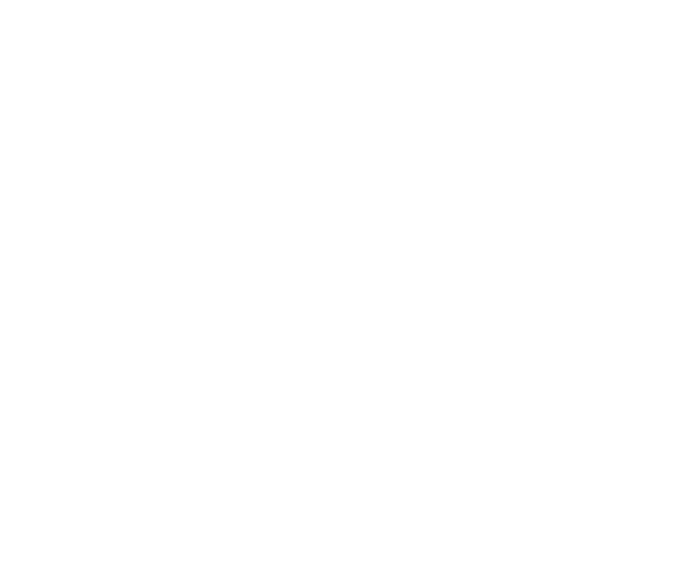 BENT REVOLUTION, LLC logo