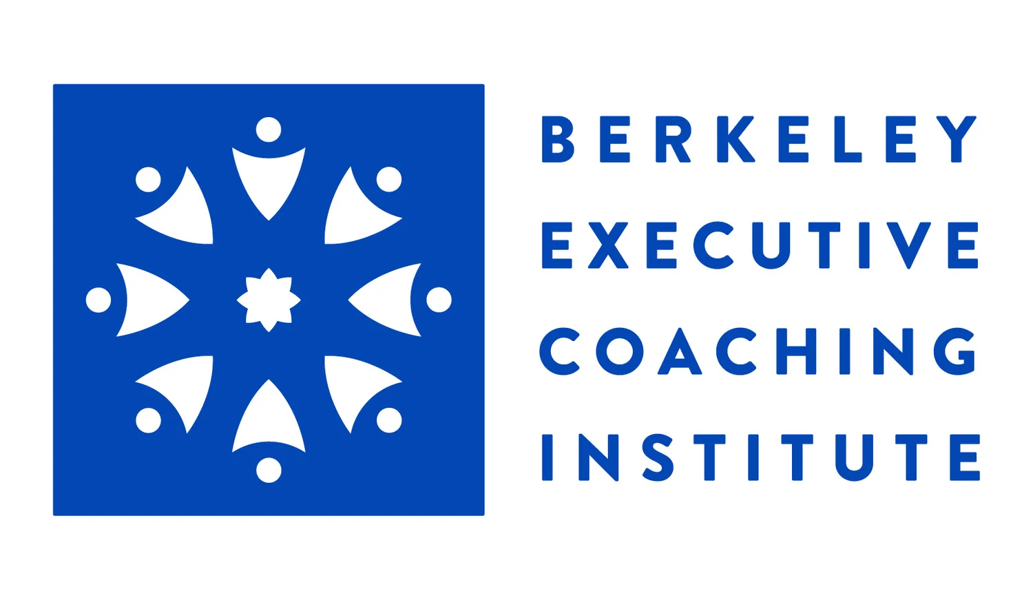 BERKELEY COACHING INSTITUTE LLC logo