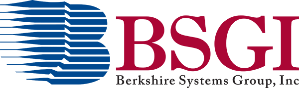 BERKSHIRE SYSTEMS GROUP INC logo