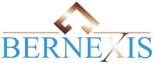 BERNEXIS CONSTRUCTION & DEVELOPMENT LLC logo