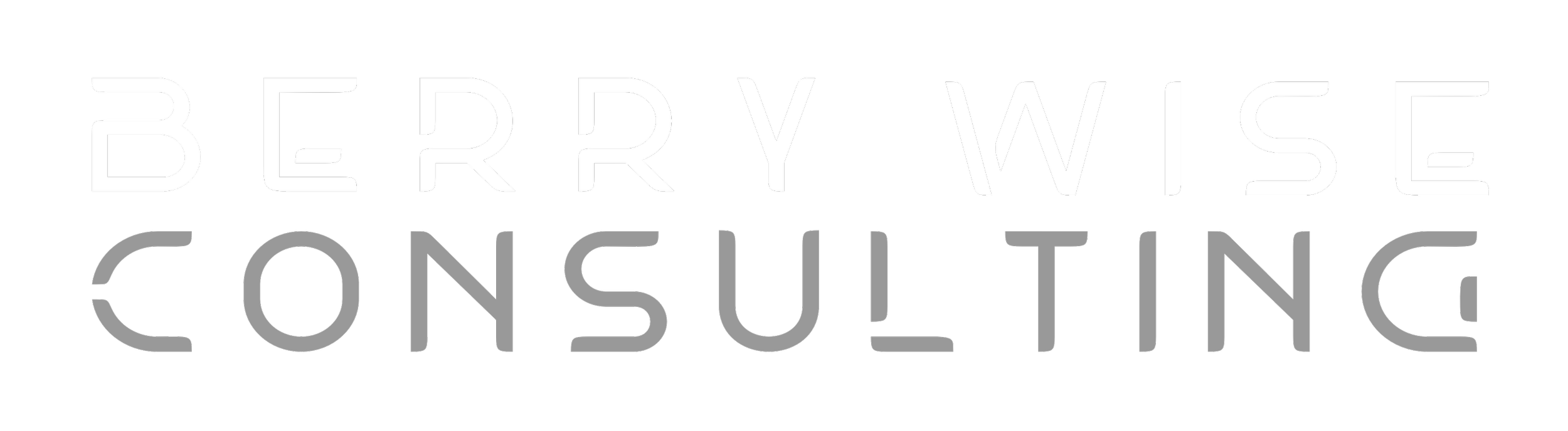 BERRY WISE CONSULTING LLC logo