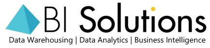 BI SOLUTIONS INC logo