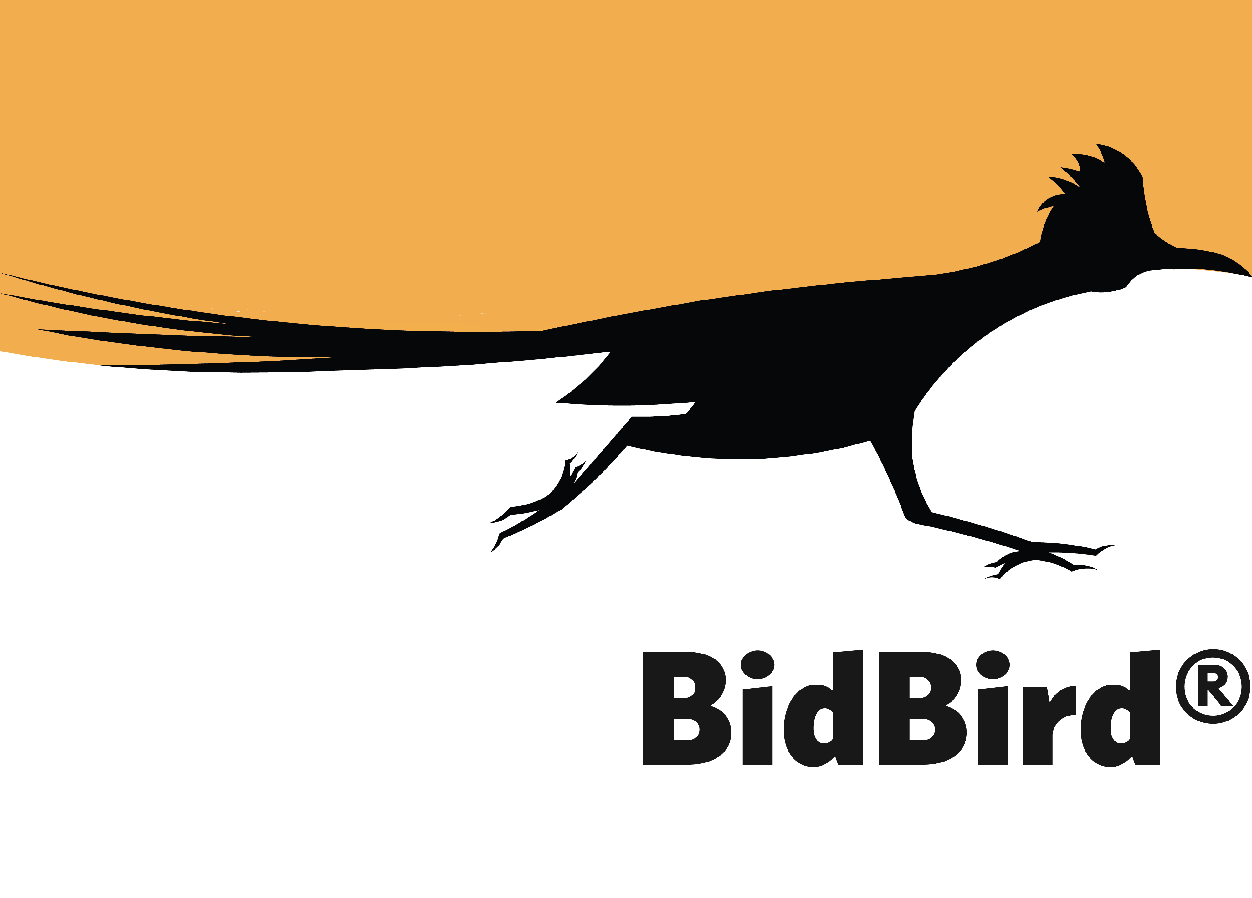 BIDBIRD, INC. logo