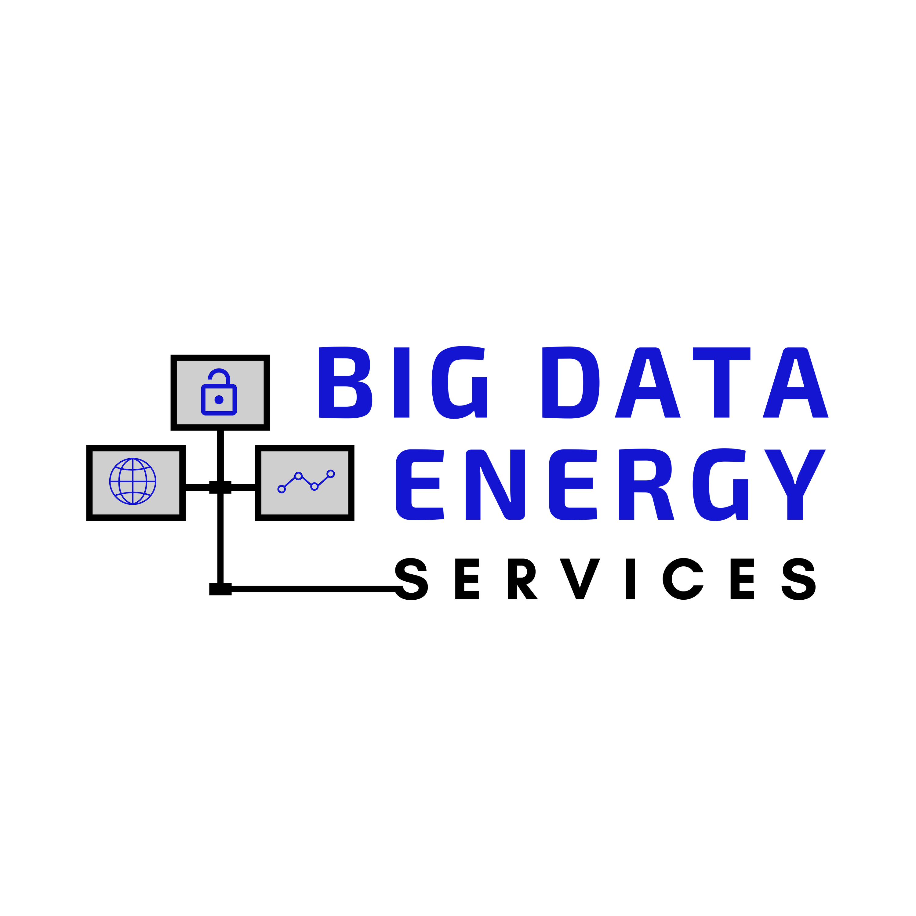 BIG DATA ENERGY SERVICES, INC. logo