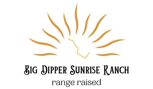 BIG DIPPER SUNRISE RANCH logo