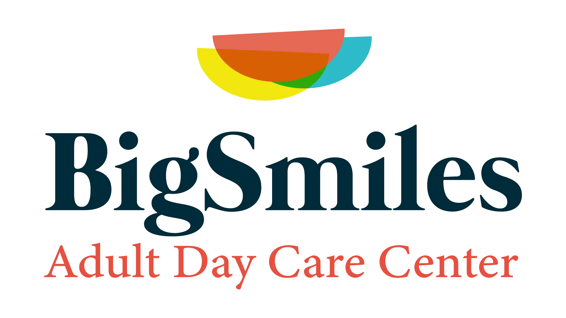 BIG SMILES CARE SERVICES LLC logo