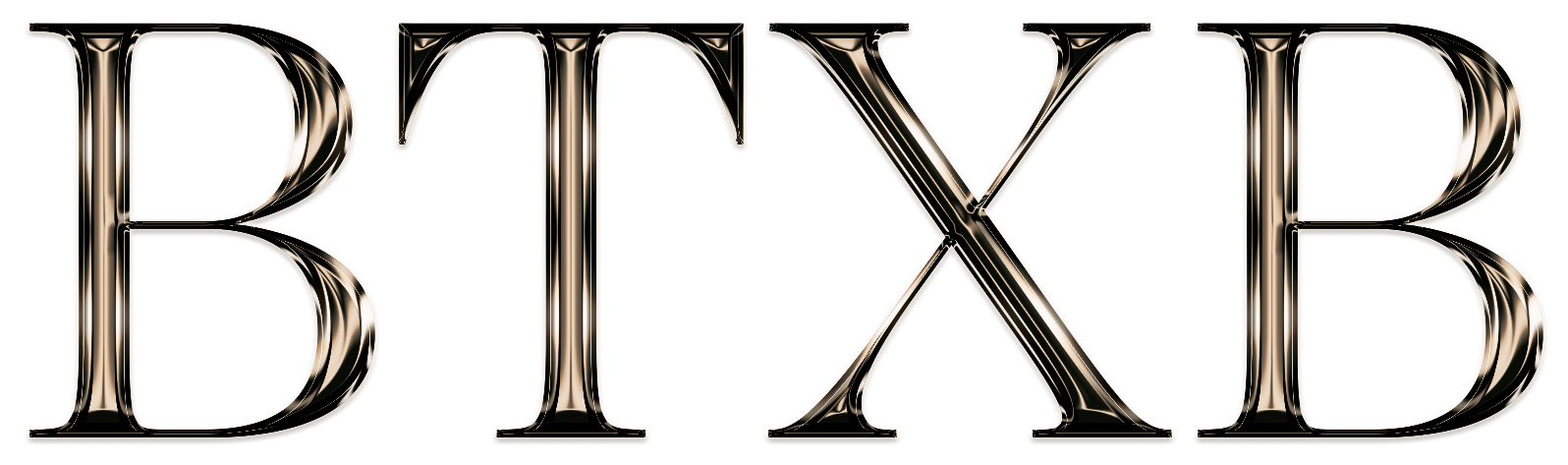 BIG TEXAS BUILDERS LLC logo