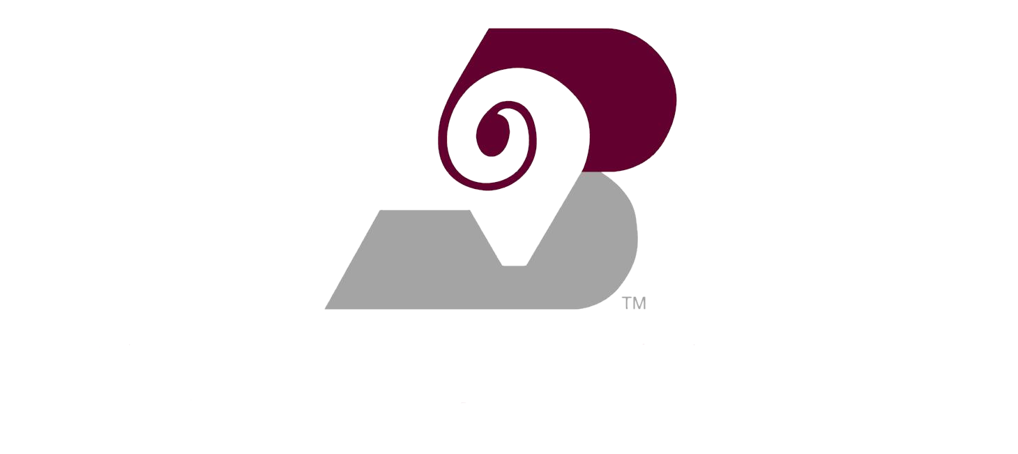 BIGHORN AIRWAYS INC logo