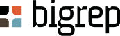 BIGREP AMERICA, INC. logo