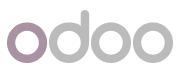 BIGVIEW logo