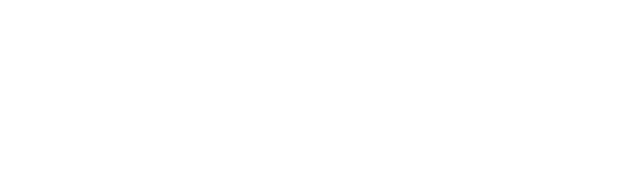BILL SPITZER & ASSOCIATES, INC. logo