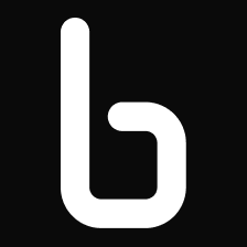 BINARLY INC logo