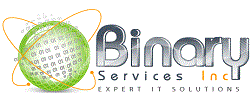 BINARY SYSTEMS LLC logo