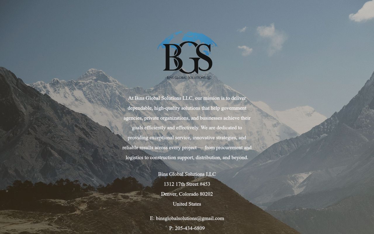 BINS GLOBAL SOLUTIONS LLC logo