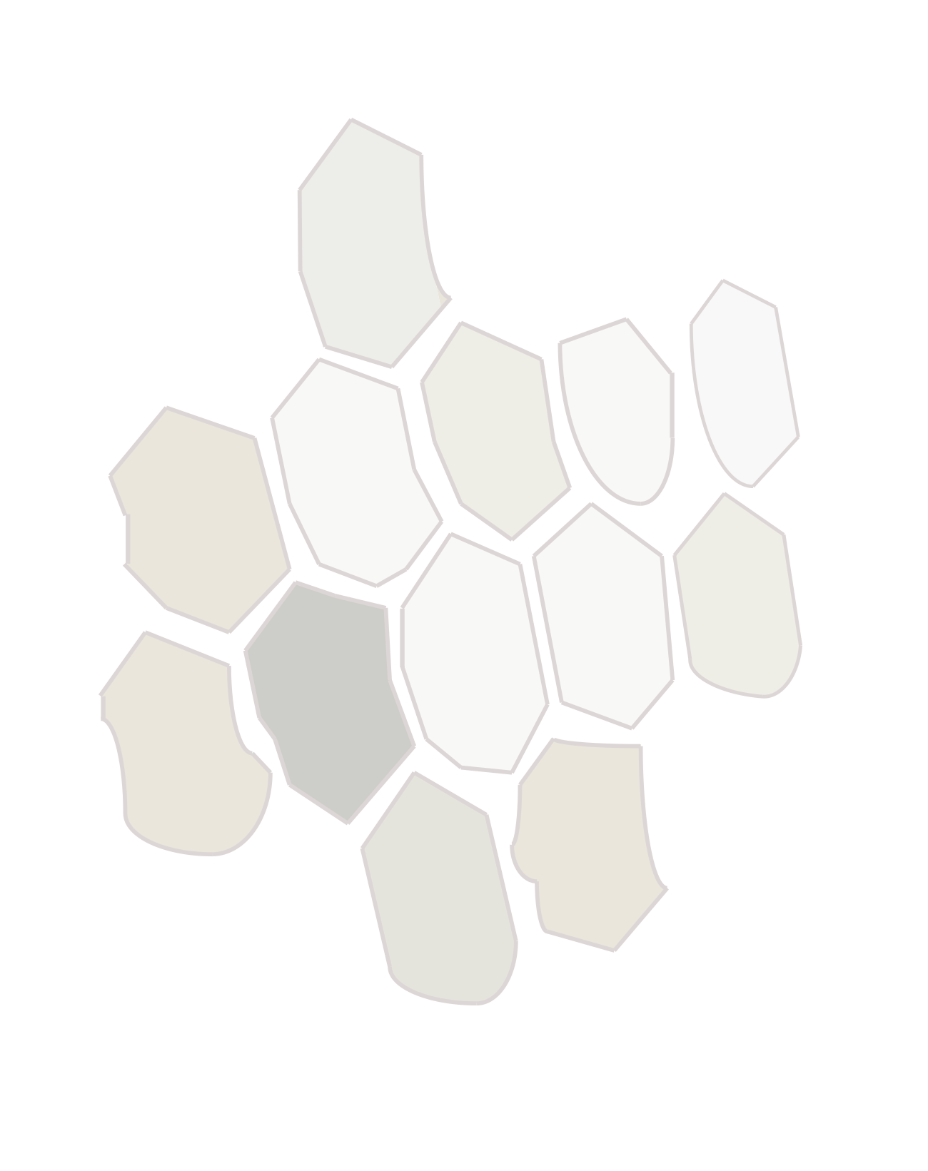BIOBANKING WITHOUT BORDERS LLC logo