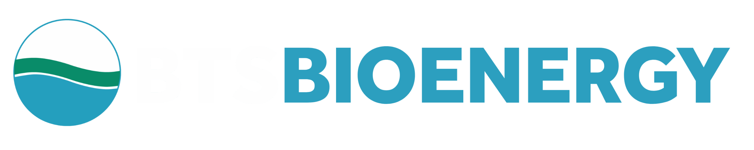 BIOENERGY DEVCO LLC logo