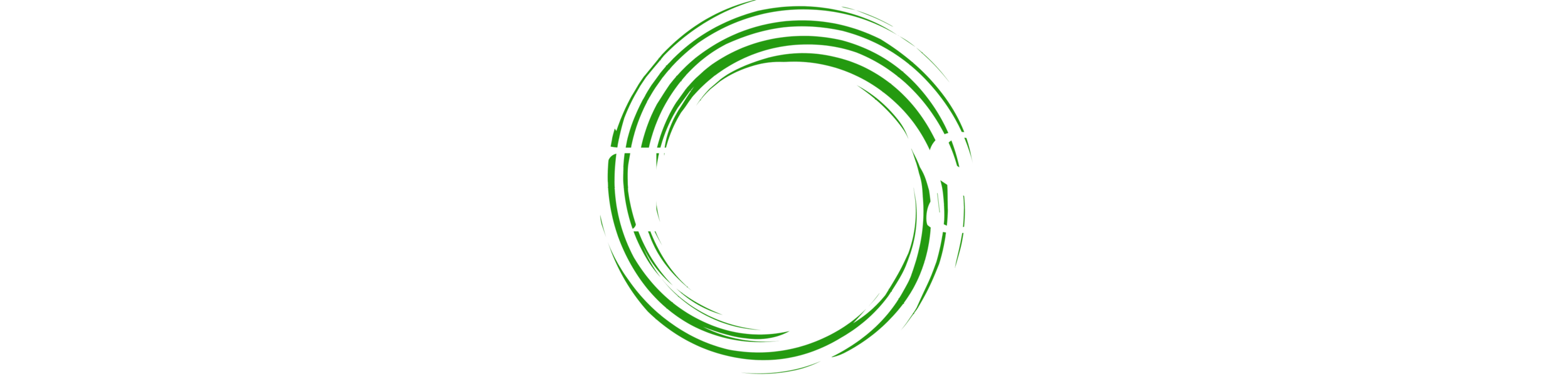 BIOREACTOR SCIENCES LLC logo