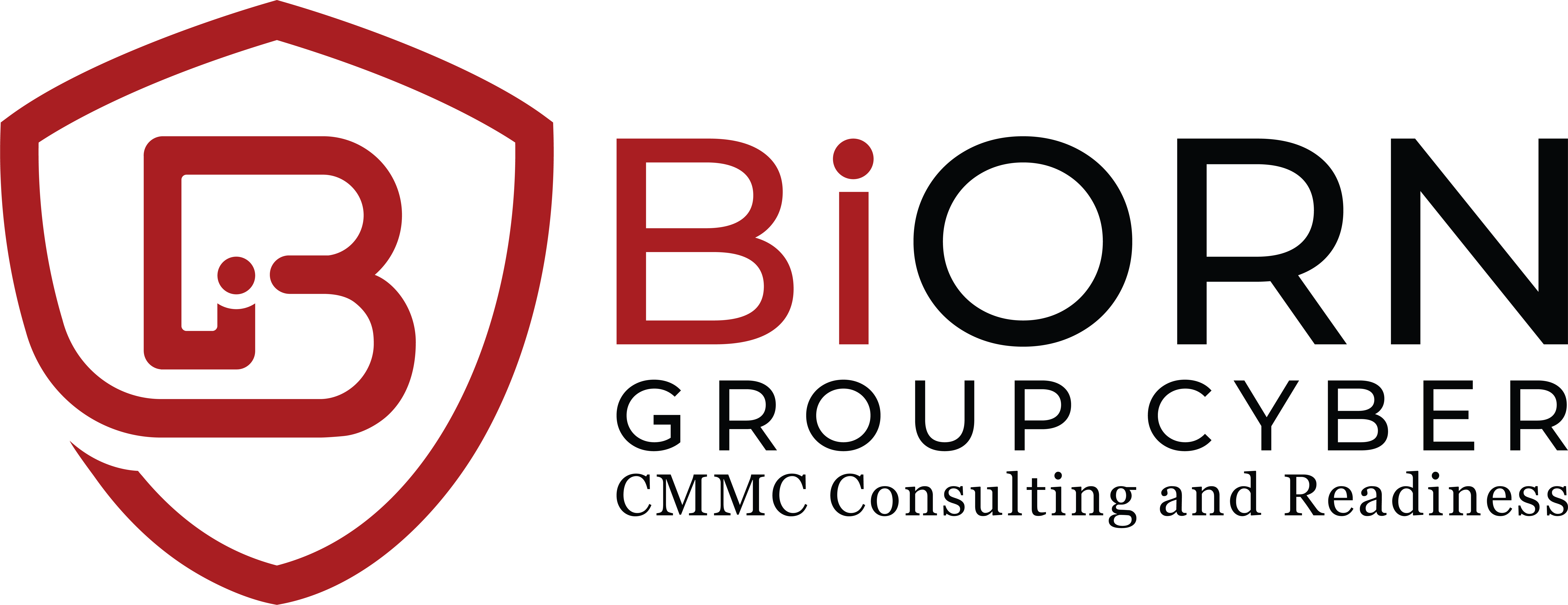 BIORN GROUP CYBER LLC logo