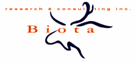 BIOTA RESEARCH & CONSULTING INC logo