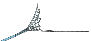 BIOTECH PEST MANAGEMENT LLC logo
