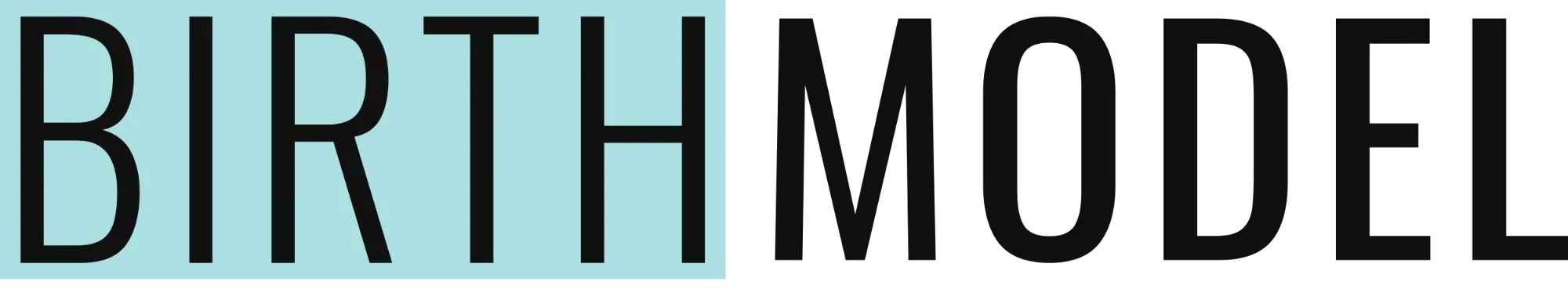 BIRTH MODEL INC logo