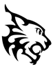 BIZHIW INFORMATION TECHNOLOGIES LLC logo