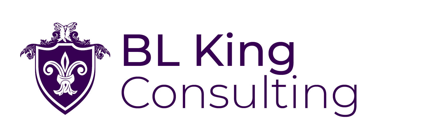 BL KING CONSULTING LLC logo