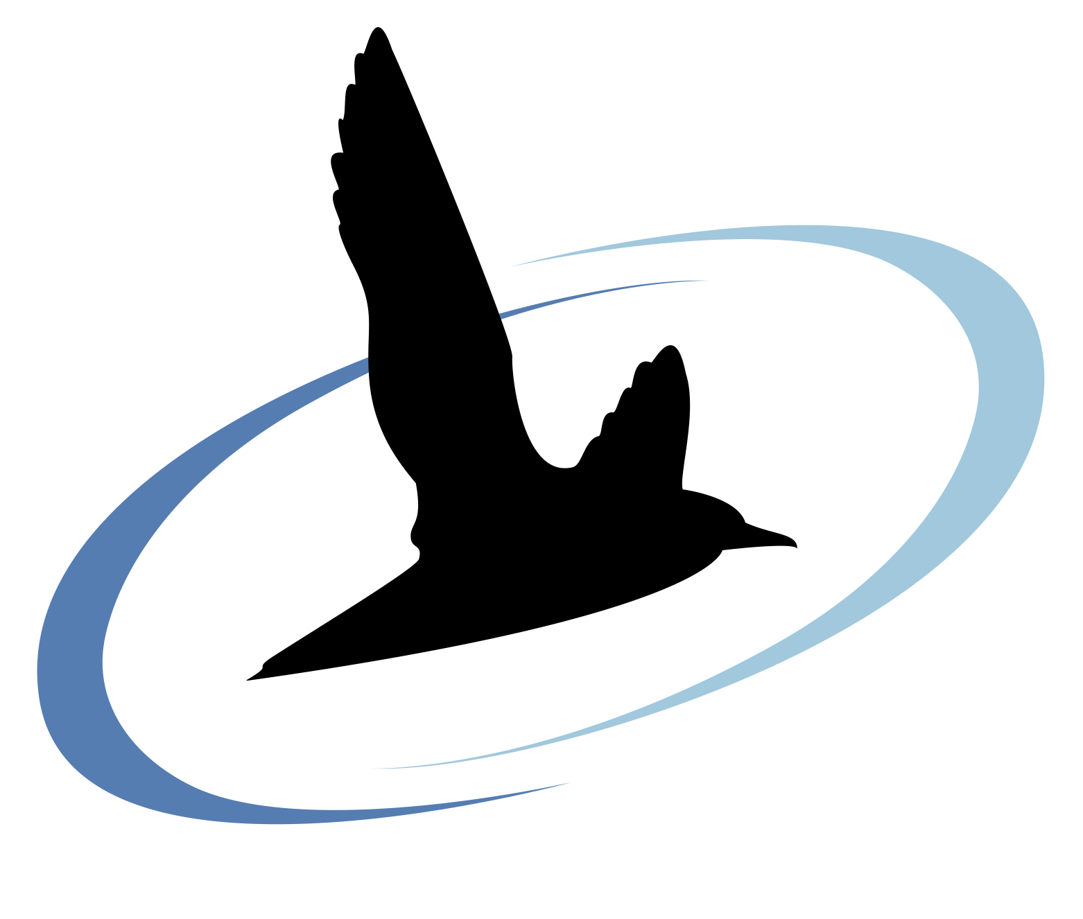 BLACK BAWKS DATA SCIENCE LTD. logo