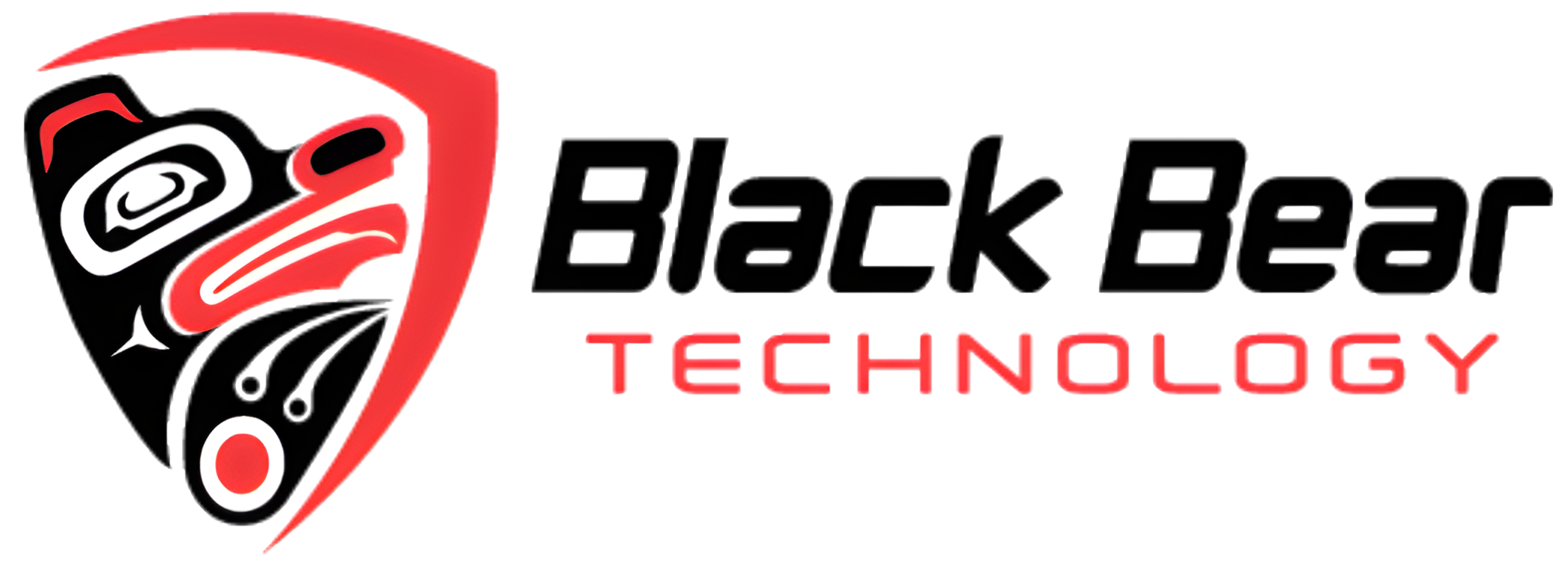 BLACK BEAR TECHNOLOGY SOLUTIONS LLC logo