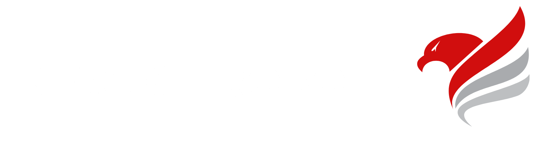 BLACK I ROBOTICS logo