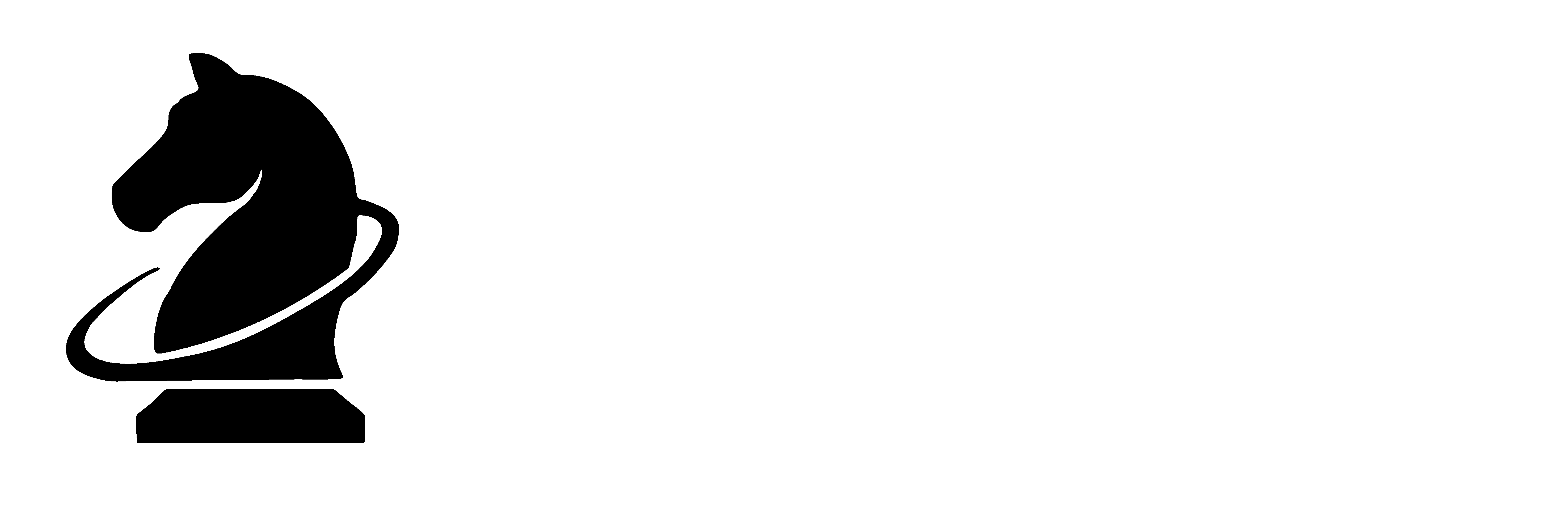 BLACK NIGHT SPACE LLC logo