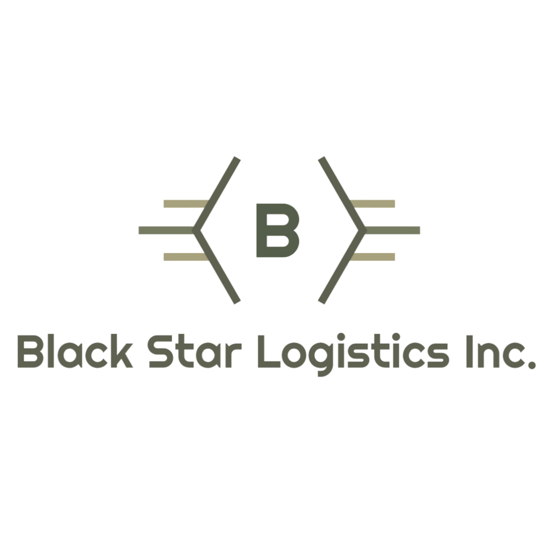 BLACK STAR LOGISTICS INC logo