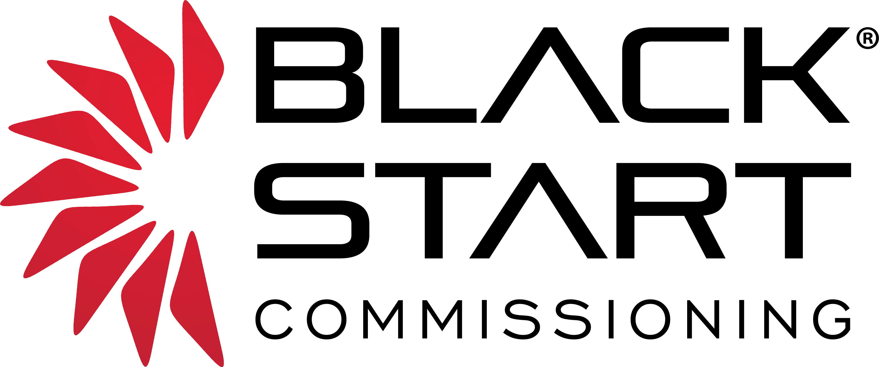 BLACK START LLC logo
