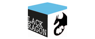 BLACKDRAGON NETWORKS LLC logo
