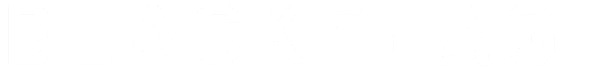 BLACKFLAG SYSTEMS INC. logo