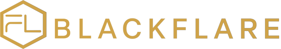 BLACKFLARE, INC. logo