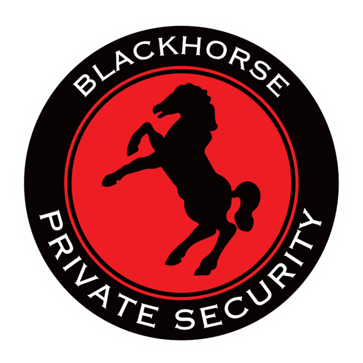 BLACKHORSE SECURITY INC logo